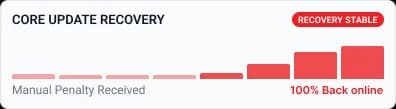 SEO Penalty Removal & Recovery