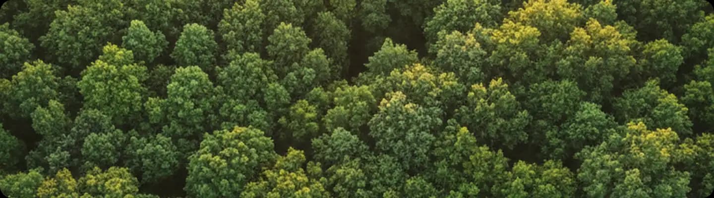 Sustainable business SEO