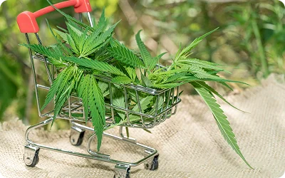 CBD Brands & Ecommerce Stores 