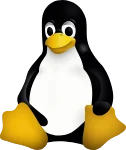 technology partner
