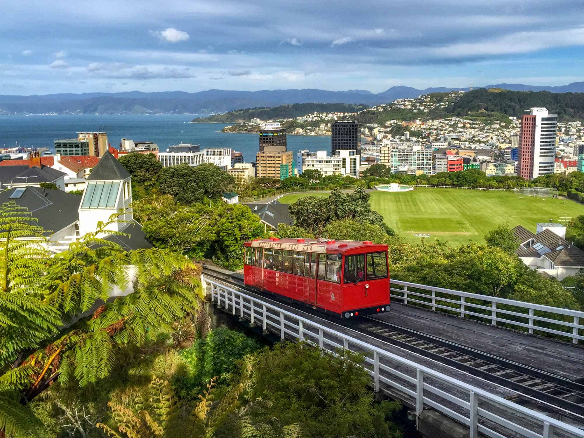 Wellington cable car above the harbour skyline — adult SEO services in New Zealand